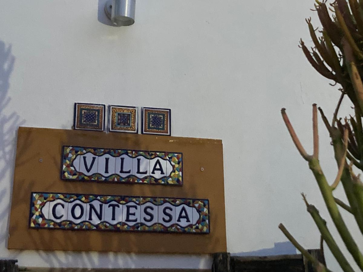 Contessa Beaufort West